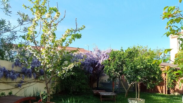 A garden with a variety of plants, a wooden bench, and a potted tree. - House between sea and mountains located in a quiet cul-de-sac Animals accepted  (Pollestres)