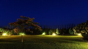 Spazio esterno illuminato di notte, con prato curato, un albero e una recinzione sullo sfondo.