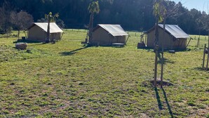 Three tents in a grassy field with a forested hill in the background. - Glamping VALL de CODÓ (Terrades)