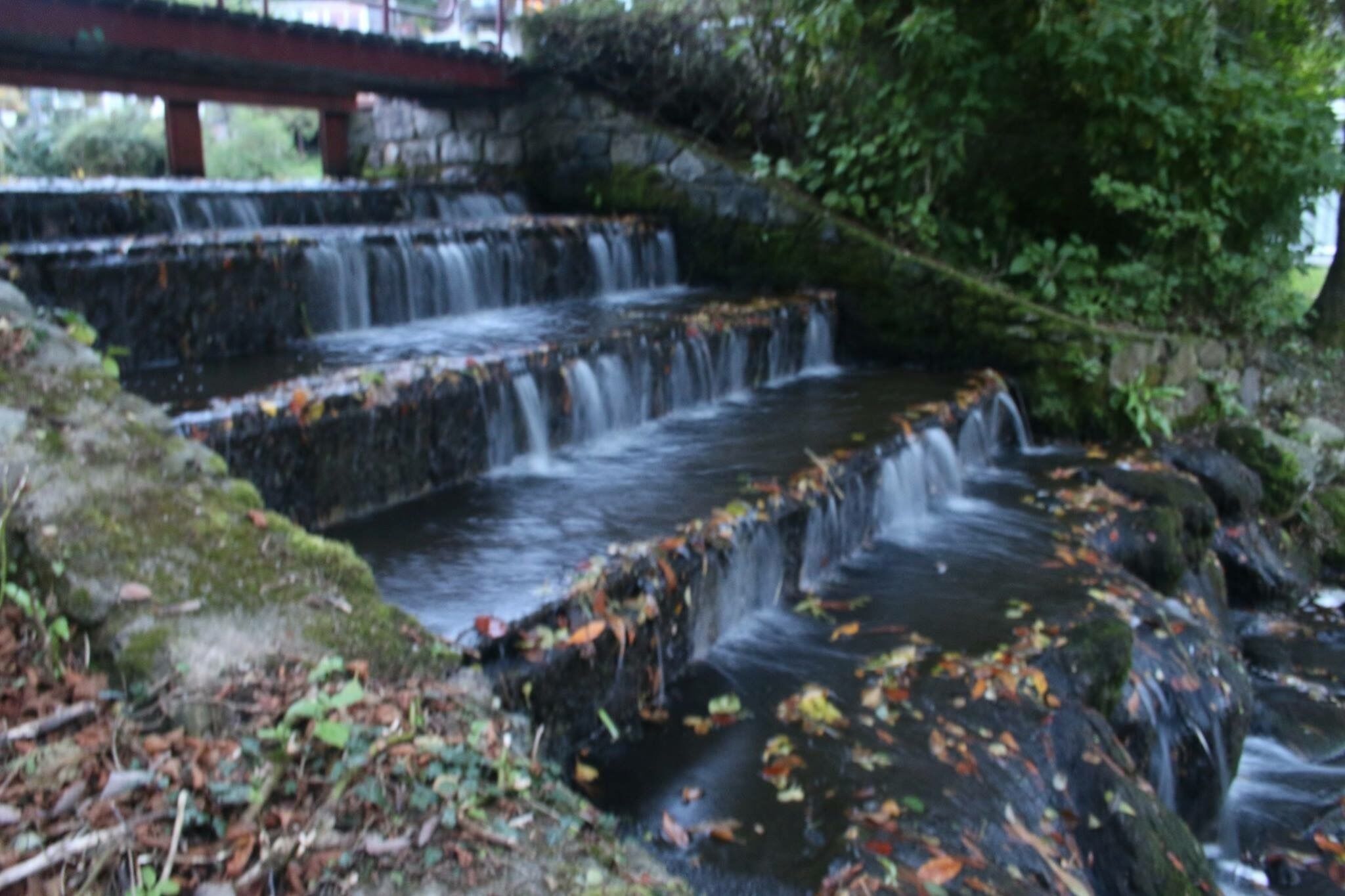 Una cascada de diversos nivells envoltada de vegetació.
