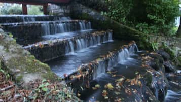 Una cascada de diversos nivells envoltada de vegetació.