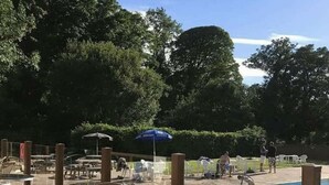 Un espace extérieur avec une piscine, des chaises et des tables en osier, le tout entouré d'arbres.