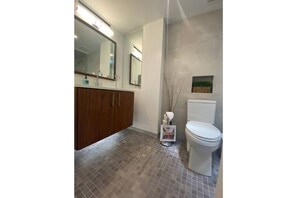Bathroom features a vanity with mirror, toilet, and sink area.