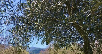 Geres National Park barn
