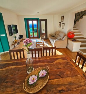 Smart TV, caminetto, libri