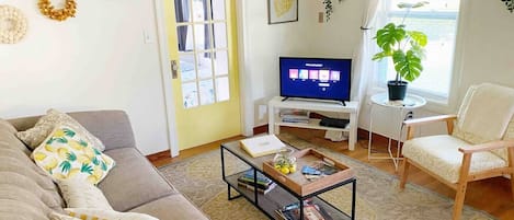 Smart TV, DVD player, books, video library