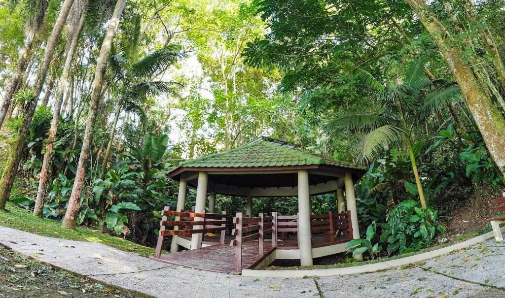 Área da propriedade