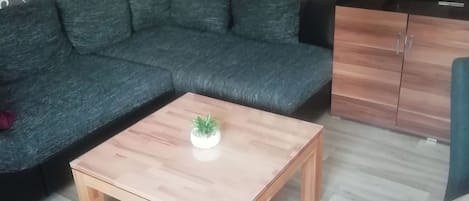 电视