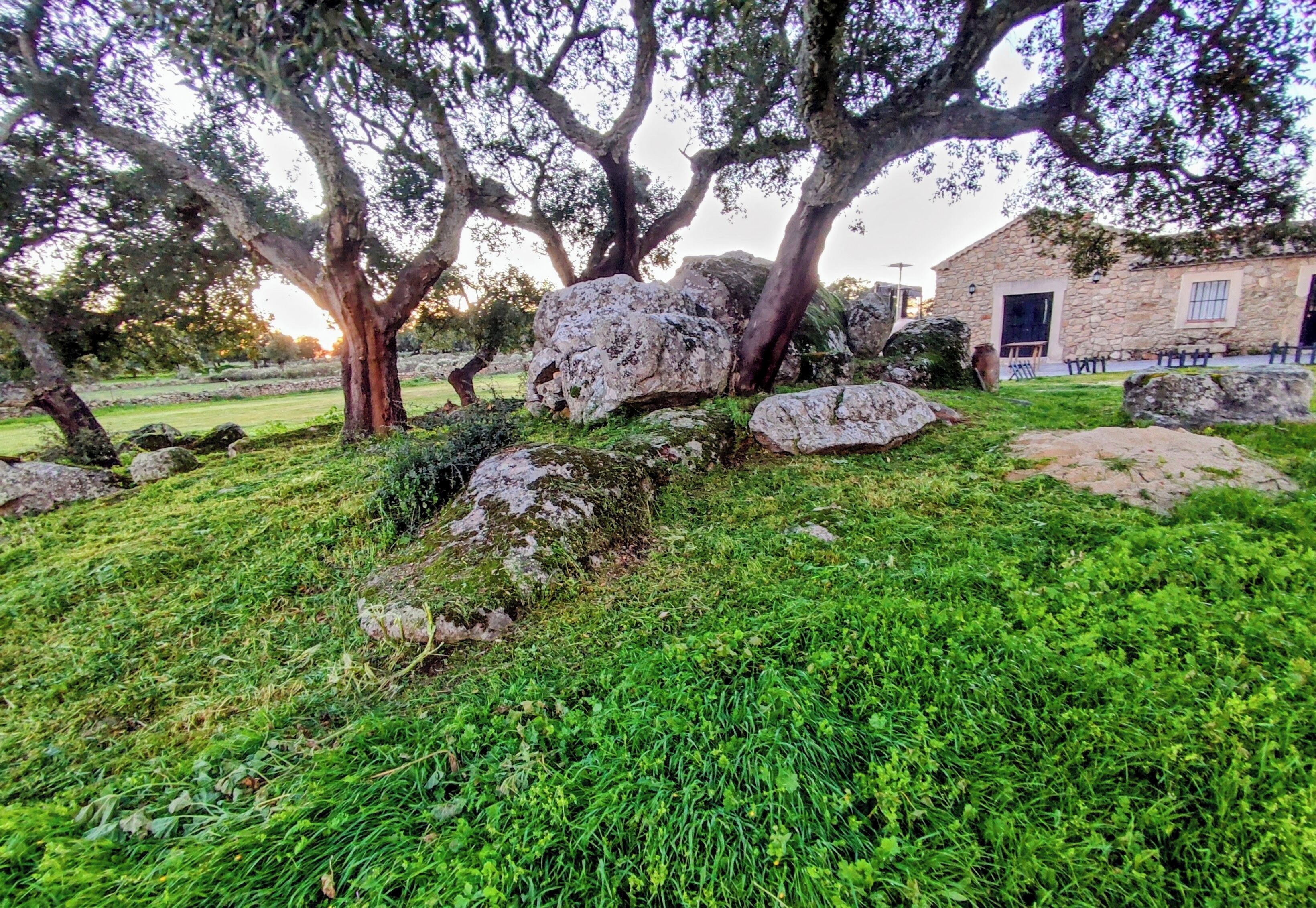 Un bâtiment en pierre doté d’une porte et de fenêtres, entouré d’une zone herbeuse parsemée de gros rochers et d’arbres.