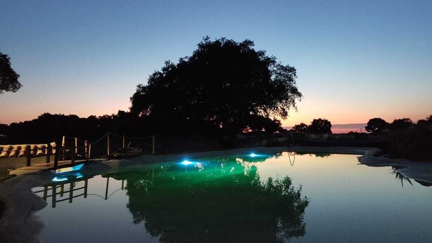 Un área tranquila de piscina al aire libre al anochecer, con cielo despejado, un árbol grande y una superficie acuática en calma que refleja el entorno.