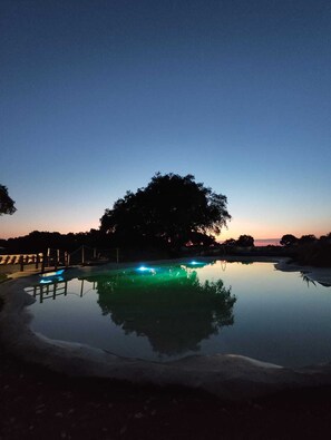 Un espace piscine extérieur paisible, au crépuscule, avec un ciel dégagé, un grand arbre et une surface d’eau calme qui reflète l’environnement.