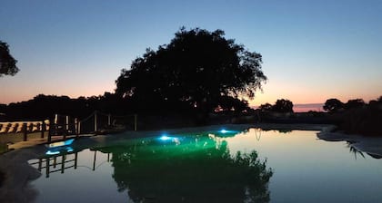 Casa rural 4º Impresionante, moderna, funcional y muy cómoda. Finca de 70.000 m2