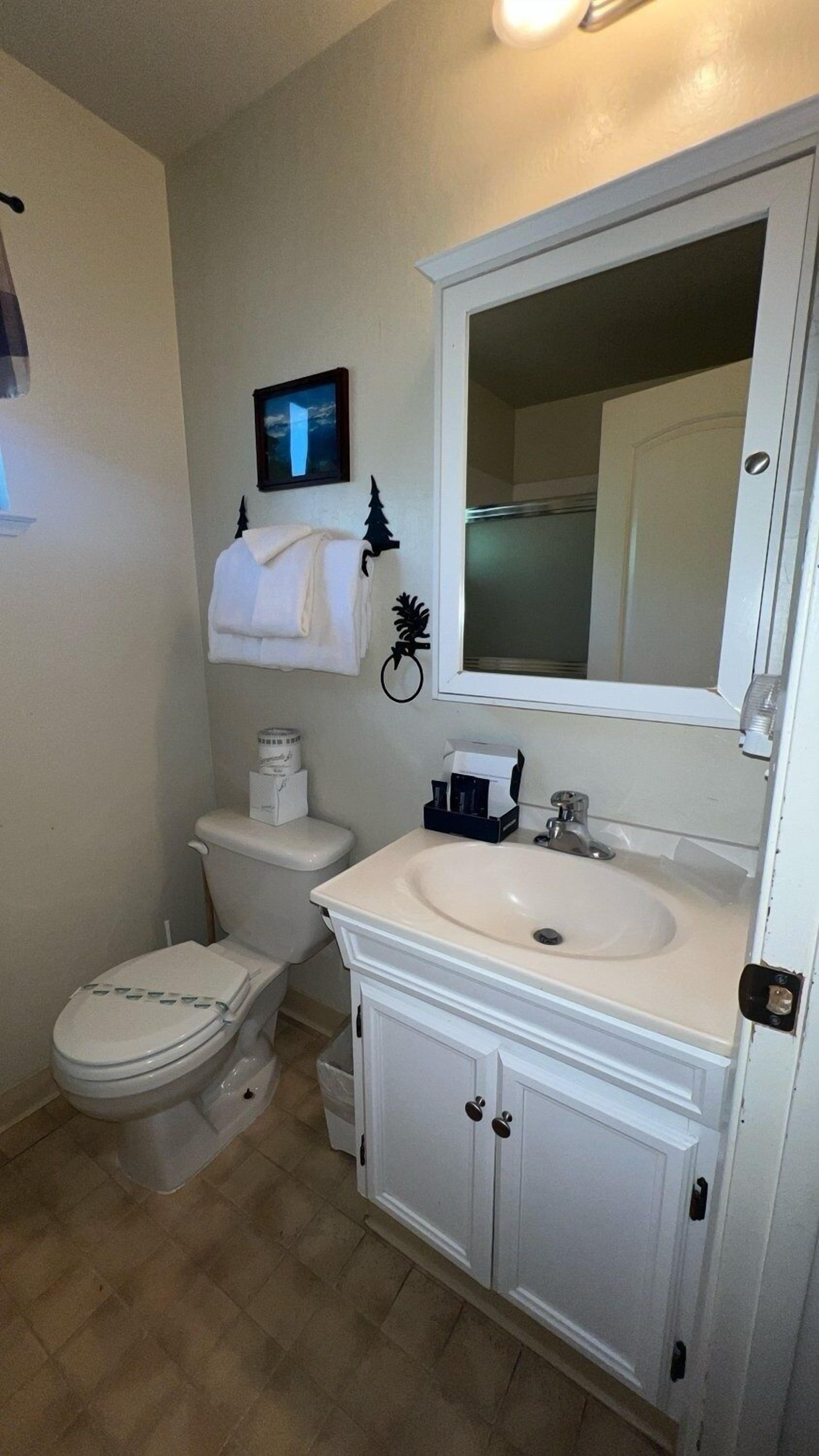 A bathroom with a toilet, sink, and mirror.