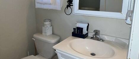 A bathroom with a toilet, sink, and mirror.