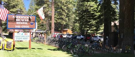 A bicycle rental sign with contact information, a Forest Bike Path starting point, and a parking area with bicycles.