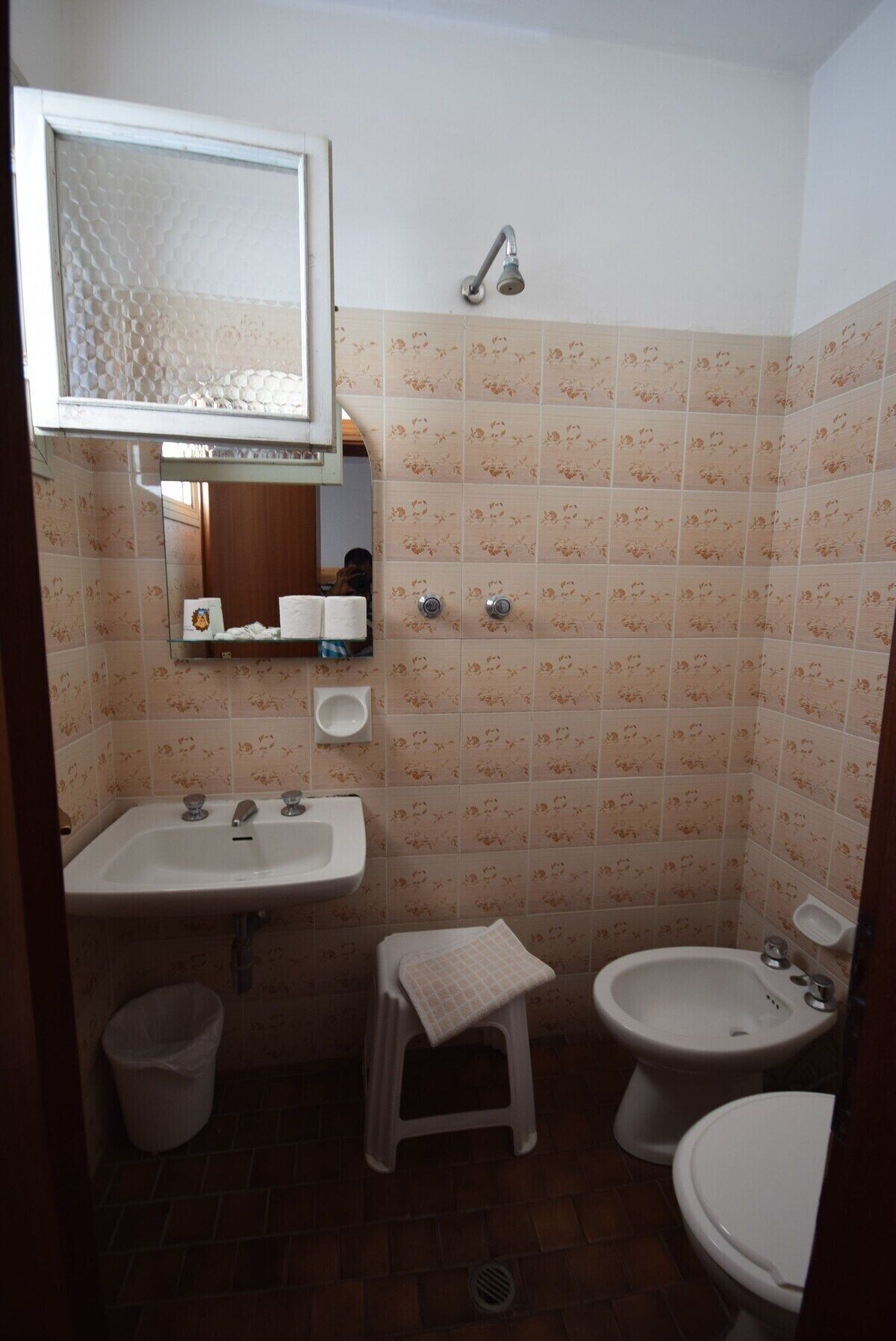 A small bathroom with a sink, mirror, shower, bidet, and toilet.
