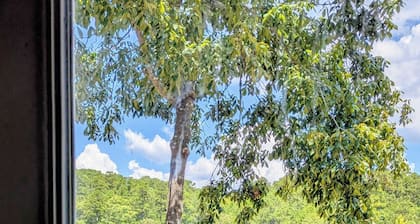 Lakefront Condo/Apartment On Beautiful Segovia Lake!