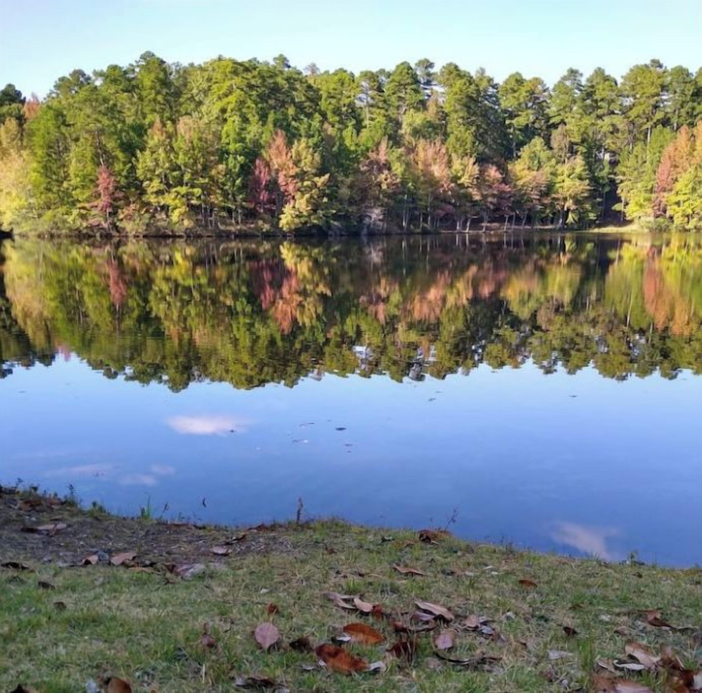 Um lago tranquilo com margens gramadas e uma floresta ao fundo.