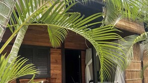 A wooden house with a tiled porch, surrounded by palm trees. - 1 Bedroom Bali style studio suite on lush property in English Harbour! 
#8 (English Harbour)
