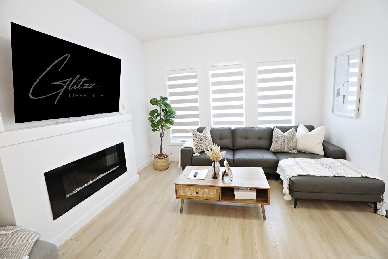 Smart TV, fireplace, books, offices