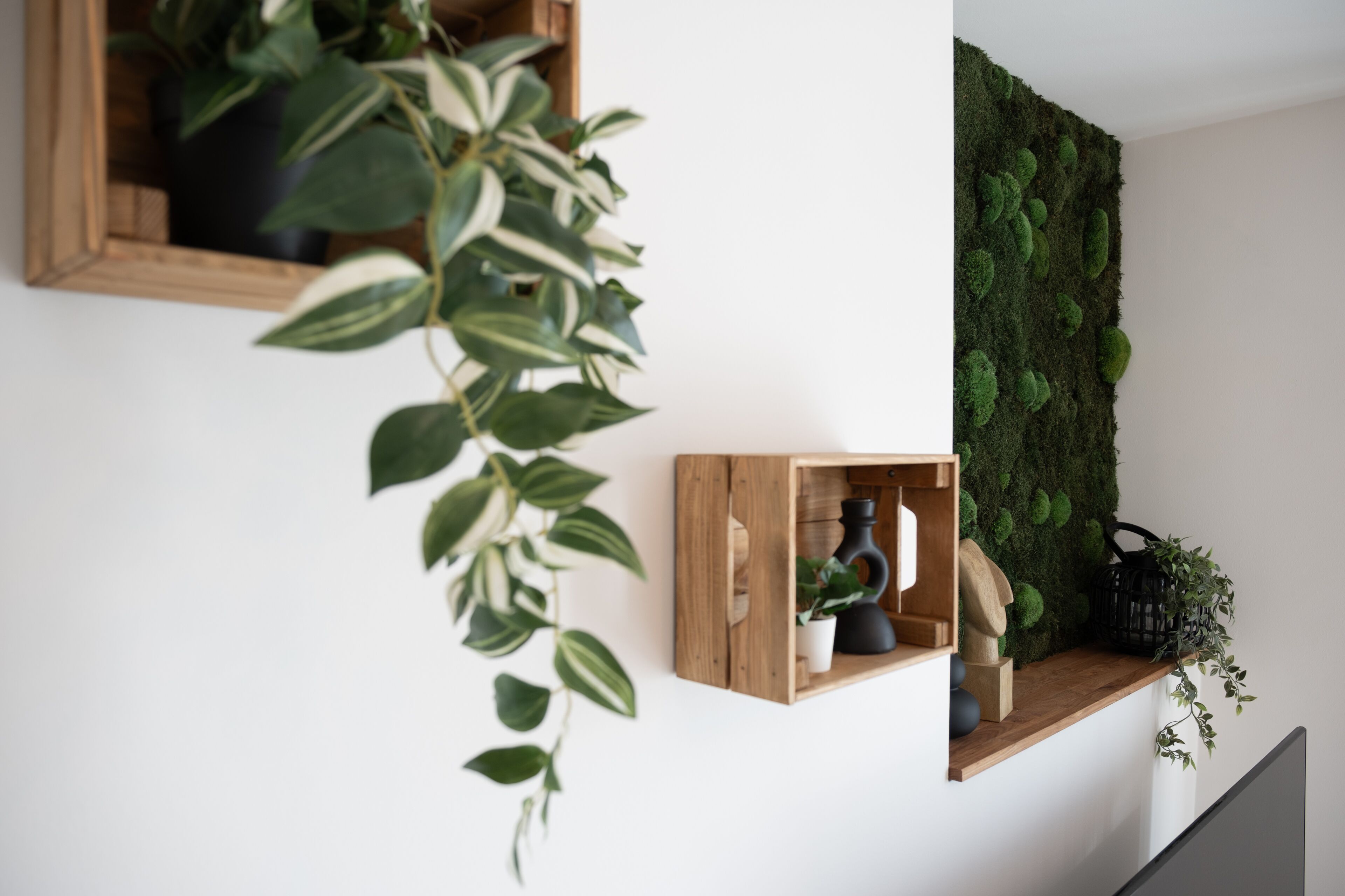 A modern interior with a wooden shelf holding a potted plant, a small wooden box, and a decorative item.