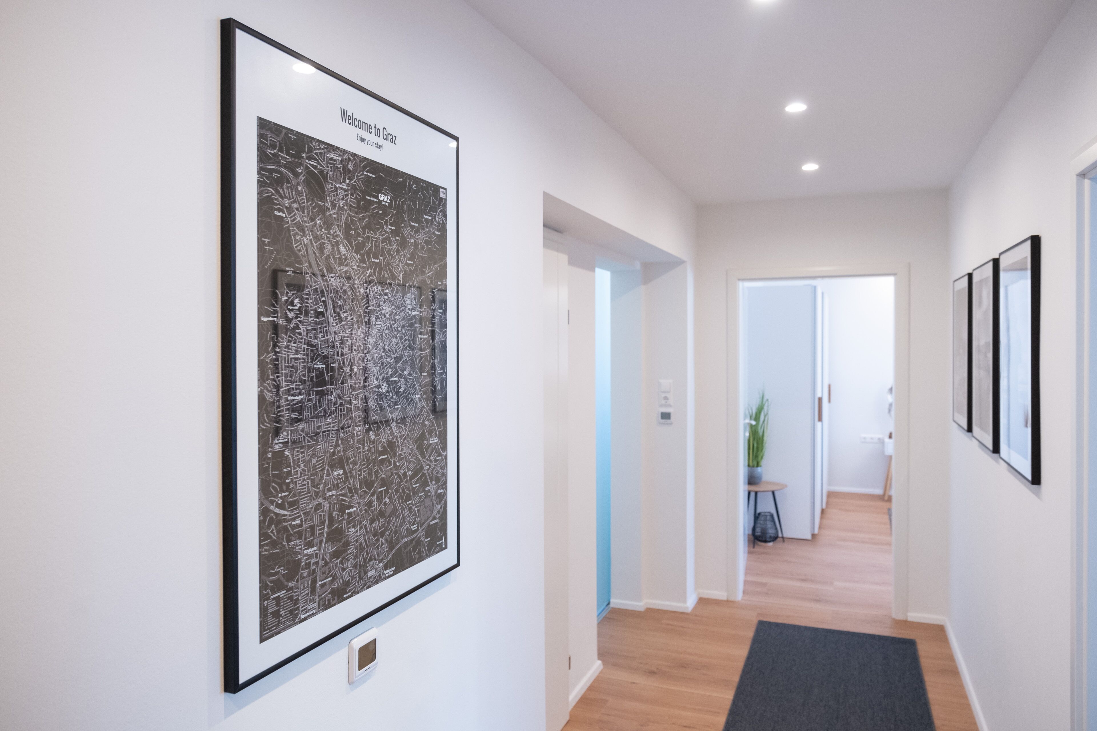 A hallway with a framed map on the wall, a potted plant, and a door leading to another room.