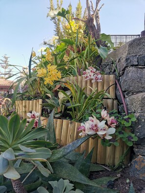 Exterior detail - Finca Vista al Teide with private swimmingpool and jacuzzi, Wifi and Sat TV (Santa Úrsula)