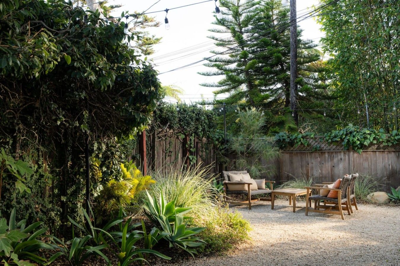 A backyard with a wooden fence, a wooden table, two chairs, and a variety of plants.