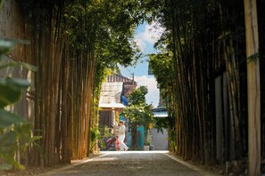 A pathway flanked by tall bamboo plants leading to a building with a corrugated metal roof. - My Dream Boutique Resort (Luang Prabang)