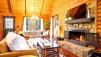 Smart TV, fireplace, books, computer monitors