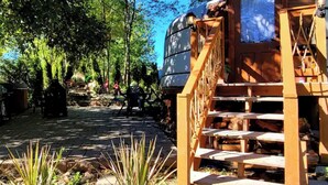 Une terrasse en bois avec un escalier menant à une zone abritée, entourée d’arbres et de plantes.