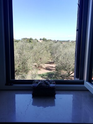 Interior - Farmhouse in the green 5 minutes from the sea - 1km highway- parking-relax zone (san vito chietino)