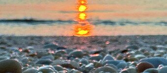 Maggie May Beach Cottage @ Cape May, NJ