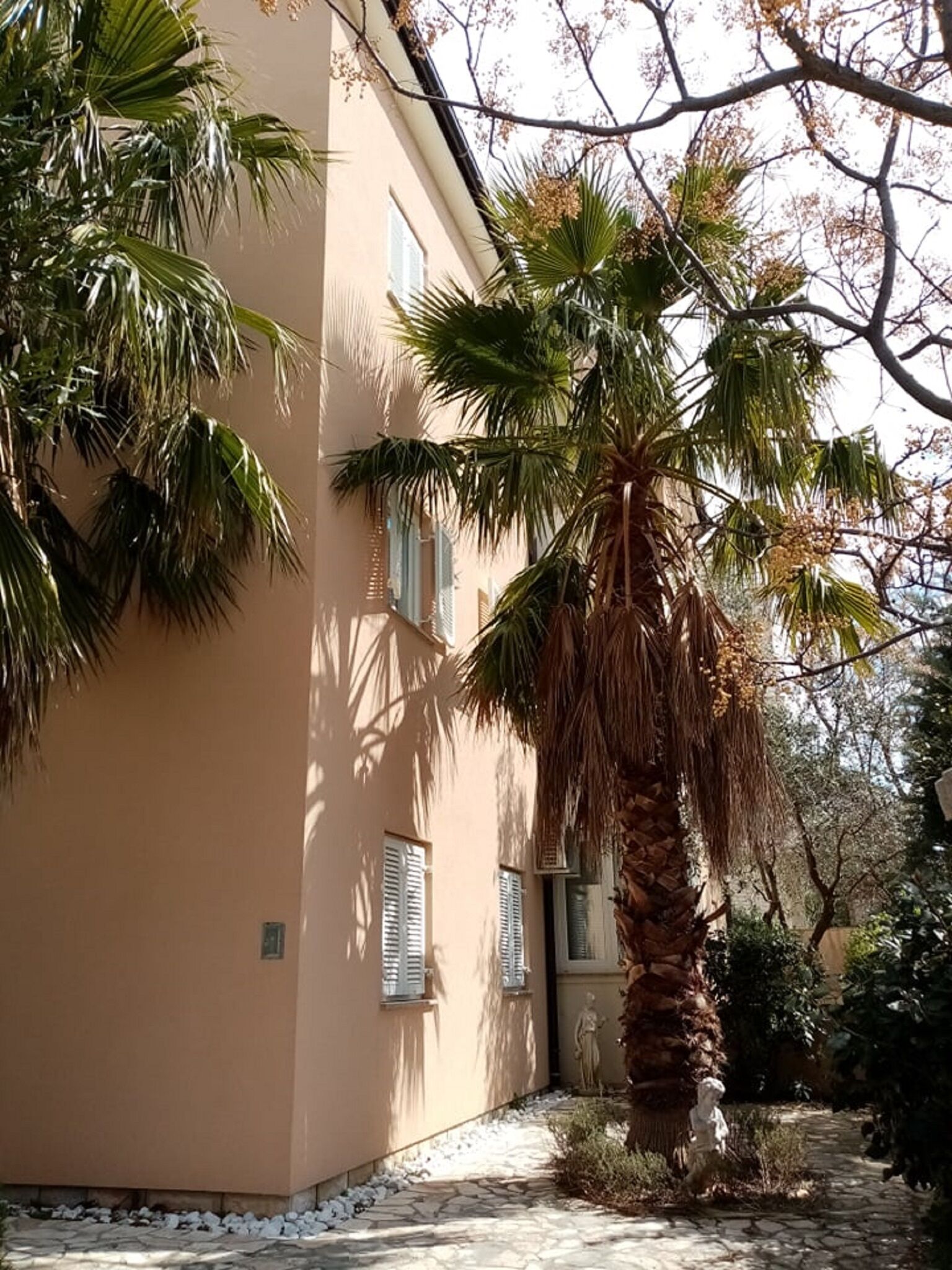 Enceinte de l’hébergement