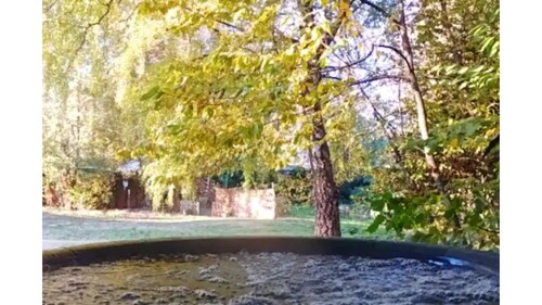 Ultra lux tiny home w/hot tub, queen bed, nature.