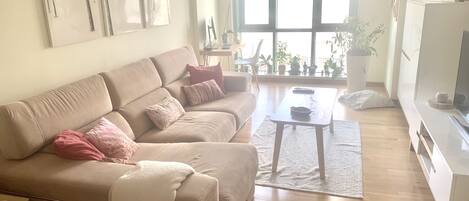 Smart-tv, videospelletjes, een dvd-speler en boeken