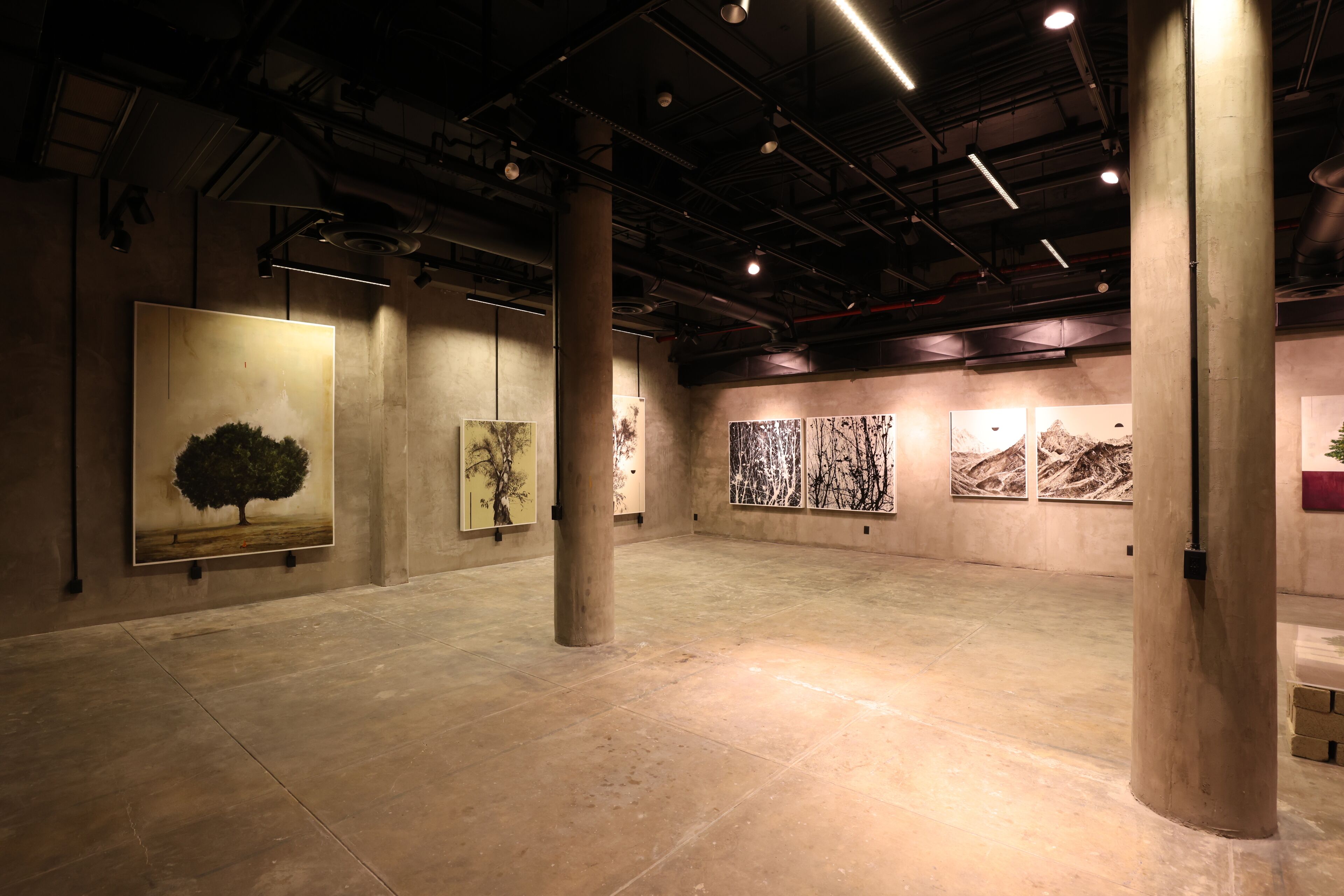 Une galerie d’art où les murs sont ornés de grandes peintures et où l’espace au sol est vaste.