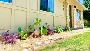 A house with a stone facade, a number '505' on the door, and a garden with cacti and purple plants.
