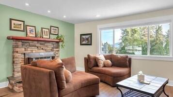 TV, fireplace, books