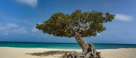 Playa en los alrededores