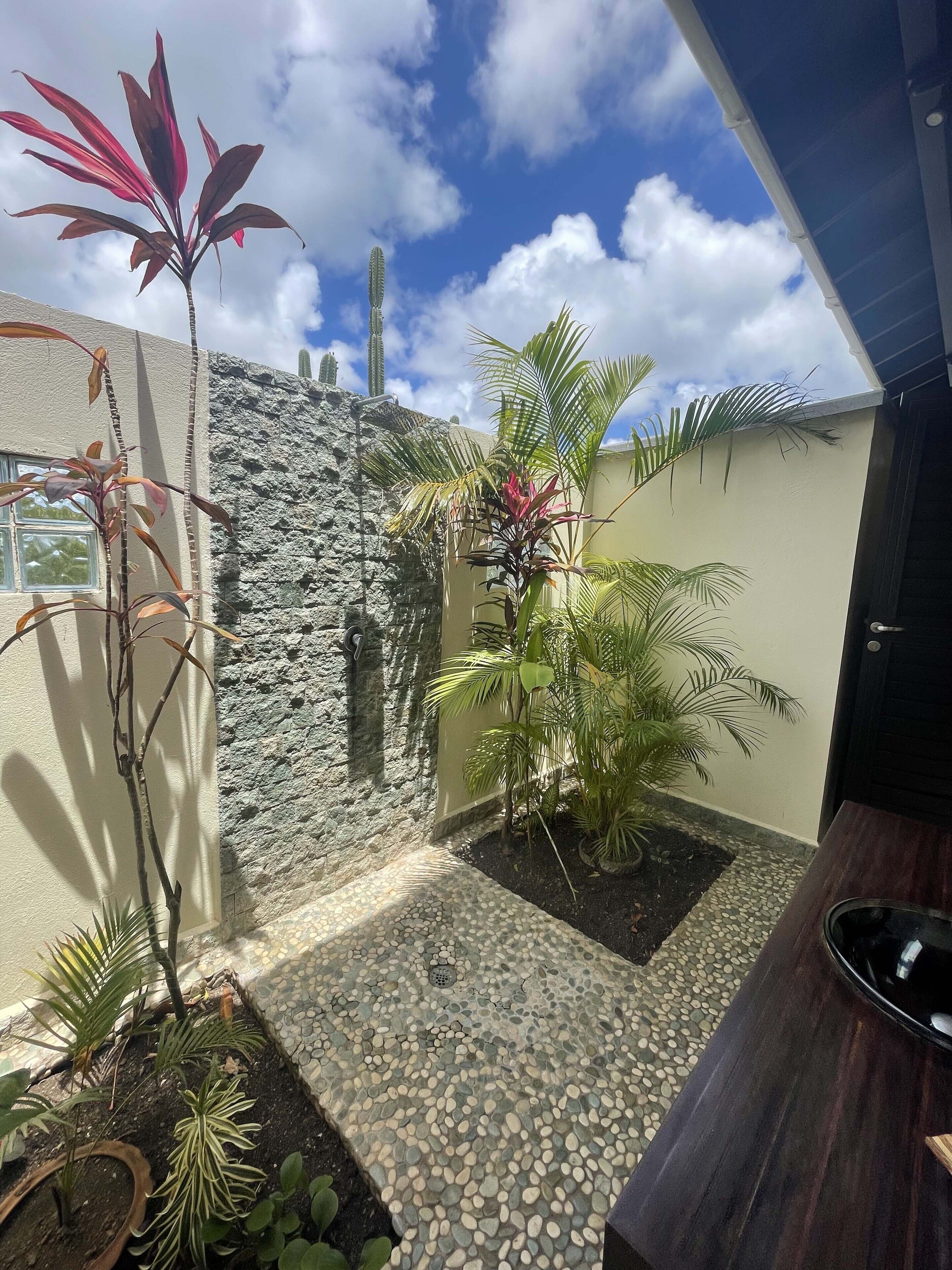 A small, enclosed outdoor area with a stone wall, various potted plants, and a tiled floor.
