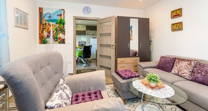 Stunning apartment in Karin Gornji