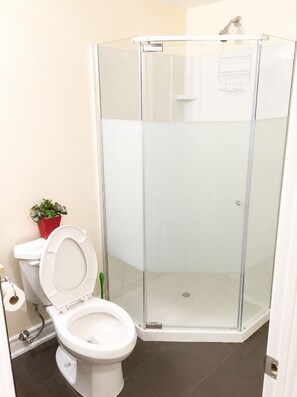 A bathroom with a glass-enclosed shower, a toilet, and a small potted plant.