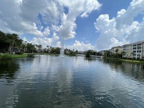 Miscellaneous - Sheraton Vistana Villages is ideally located in Orlando, perfect for the family. (Orlando)