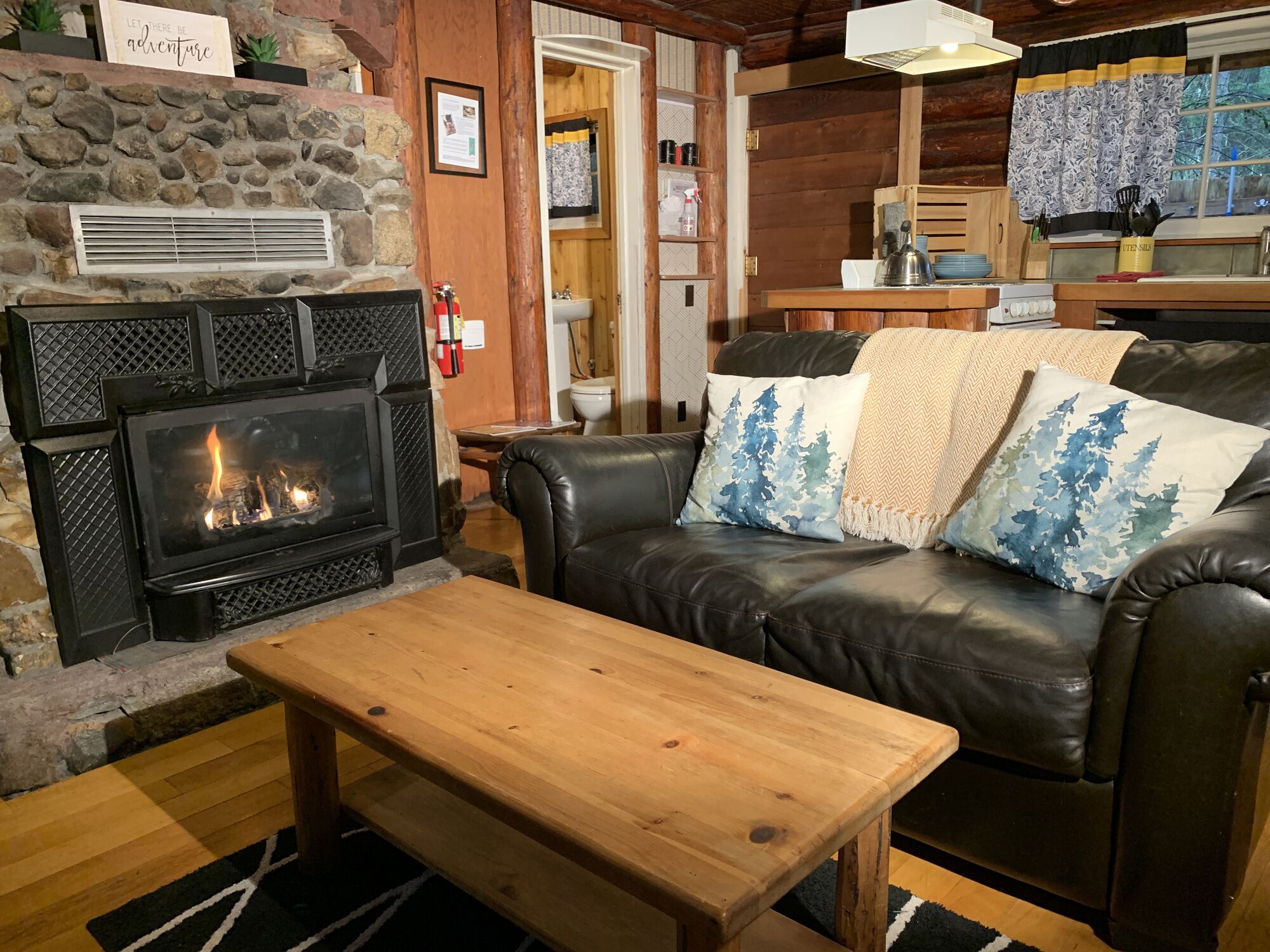 Kamin, DVD-Player, Videothek