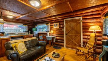 Kamin, DVD-Player, Videothek