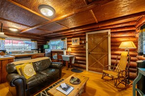 Fireplace, DVD player, video library