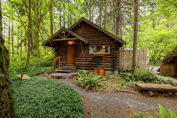 A log cabin with a porch, surrounded by dense forest.