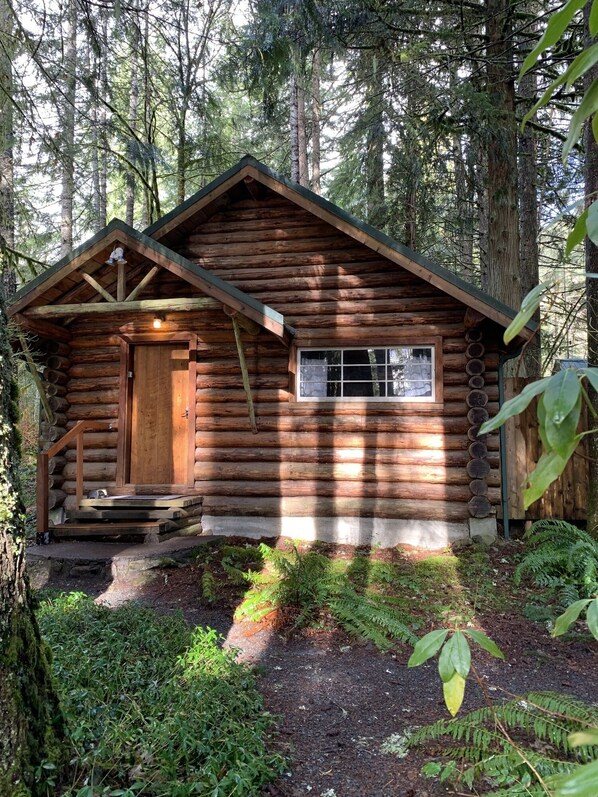 Exterior - This historic log cabin is adjacent to Copper Creek Restaurant just a few miles to Mt. Rainier National Park. Hot tub, full kitchen, gas fireplace, romance! (Ashford)