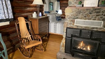 Fireplace, DVD player, video library